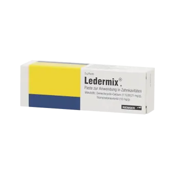 Ледермикс паста стоматологическая туба 5г
